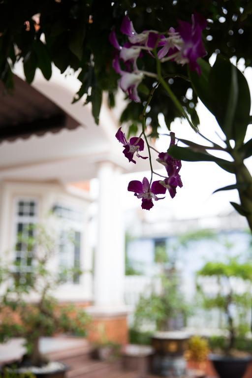 Beautiful Moon Hoi An Villa 외부 사진